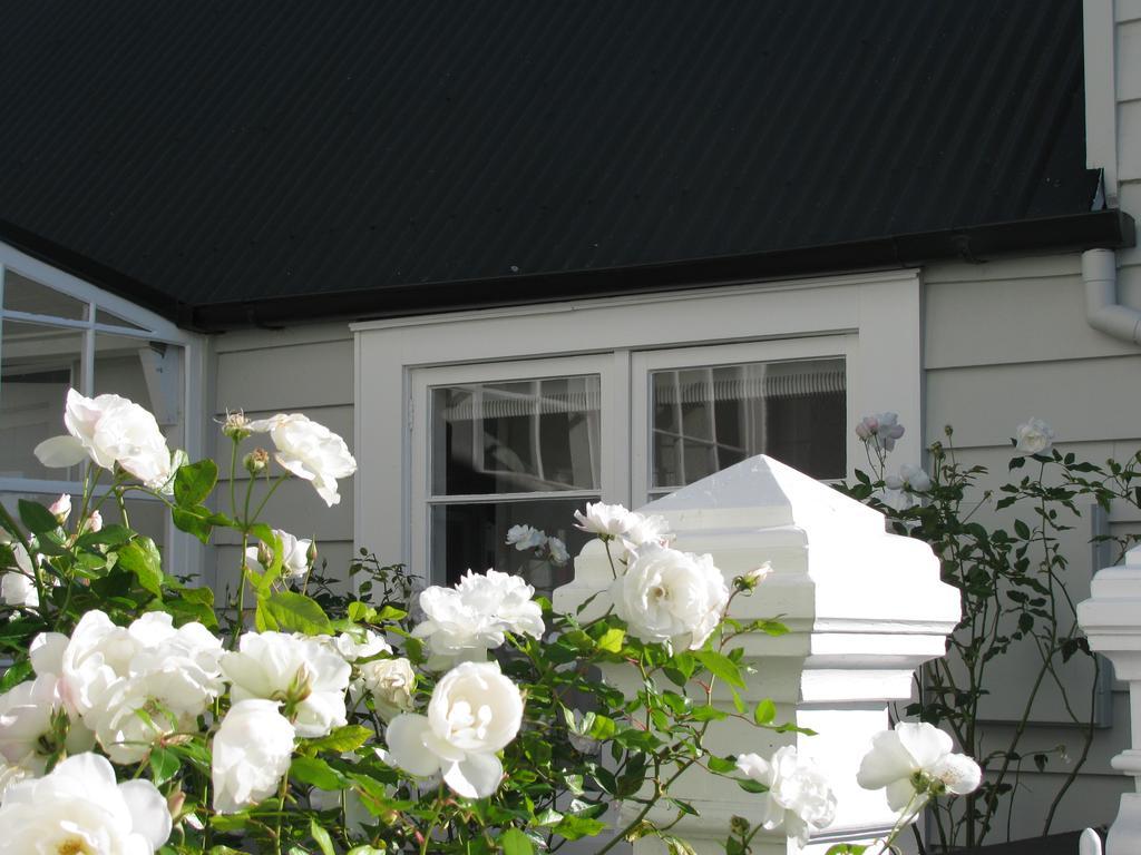 Historic Colenso Cottage Napier Kültér fotó